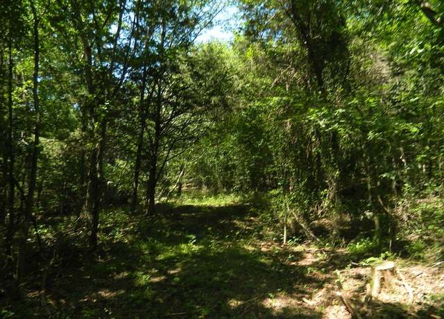Property at 13184 Cove Creek Rd, Prairie Grove, AR 72753