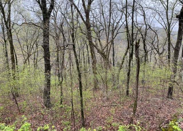 Property at 12 Cove Ln, Holiday Island, AR 72631