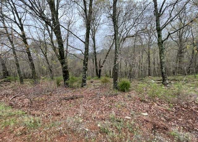 Property at 14 Serenity Ln, Holiday Island, AR 72631