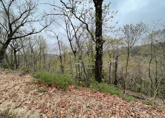 Property at 20 Serenity Ln, Holiday Island, AR 72631