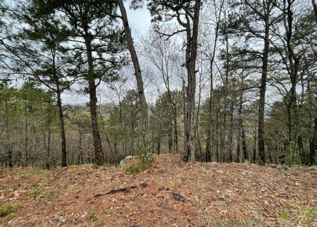 Property at 21 Serenity Ln, Holiday Island, AR 72631