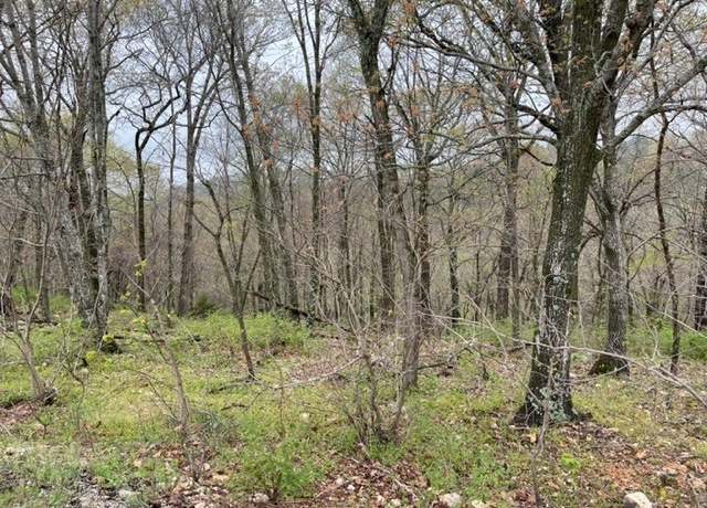 Property at 12 Serenity Ln, Holiday Island, AR 72631