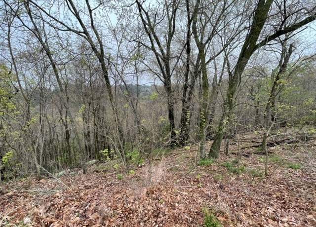 Property at 18 Serenity Ln, Holiday Island, AR 72631
