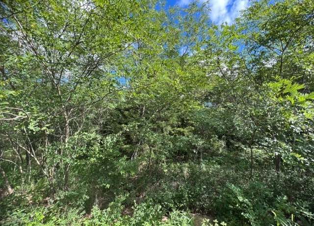 Property at 6 Serenity Ln, Holiday Island, AR 72631
