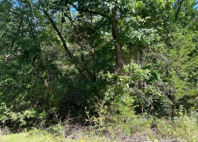 Property at 56 Haddock Ln, Holiday Island, AR 72631