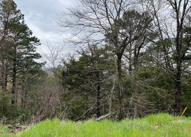 Property at 30 Rancho Vista Ln, Holiday Island, AR 72631
