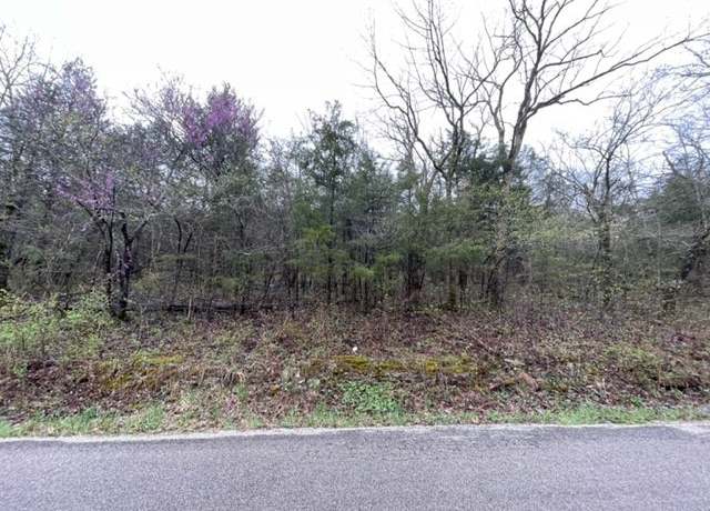 Property at 95 Wild Turkey Dr, Holiday Island, AR 72631