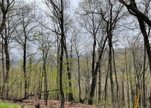 Property at 58 Hawk Dr, Holiday Island, AR 72631