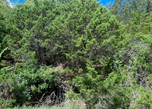 Property at 12 Oak Ln, Holiday Island, AR 72631