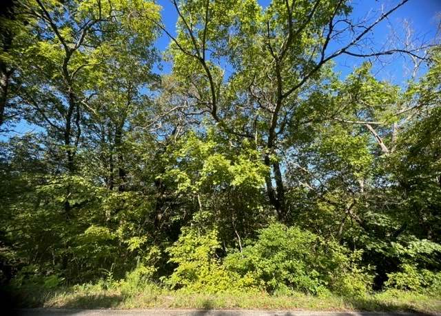 Property at 73 Country Club Dr, Holiday Island, AR 72631