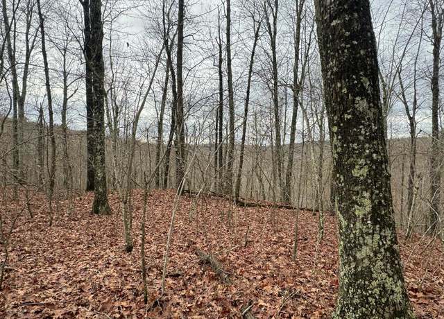 Property at NC 7000 Hwy 7 South, Pelsor, AR 72856