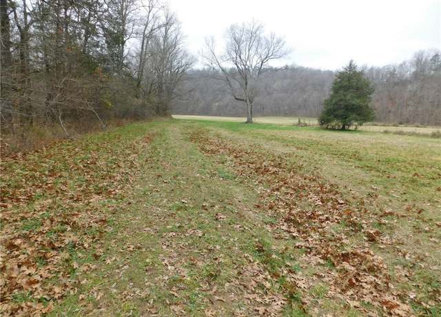Property at Nc 8330, Jasper, AR 72641