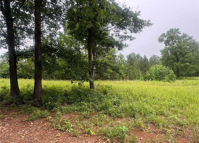 Property at Lot#3 Nc 3050, Jasper, AR 72641