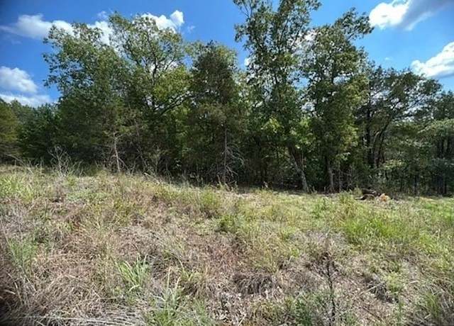 Property at 214 Stateline Dr, Holiday Island, AR 72631