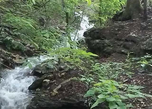 Property at 1451 County Road 266, Eureka Springs, AR 72631, 3 beds, 2.5 baths