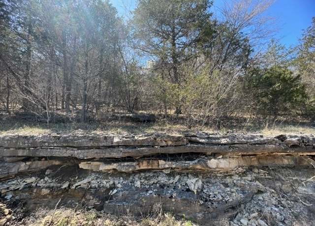 Property at 194 Table Rock Dr, Holiday Island, AR 72631