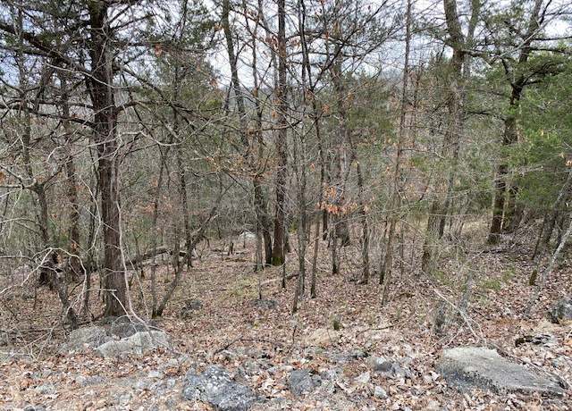 Property at 125 Beaver Cir, Holiday Island, AR 72631