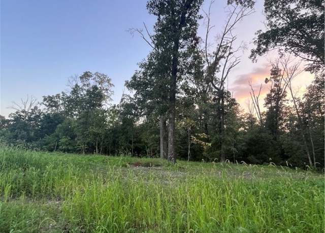 Property at Coopers Rd, Pineville, MO 64856