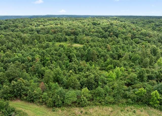 Property at 79.30 Acres Styles Rd, Noel, MO 64854