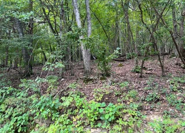 Property at 80 Stateline Dr, Holiday Island, AR 72631