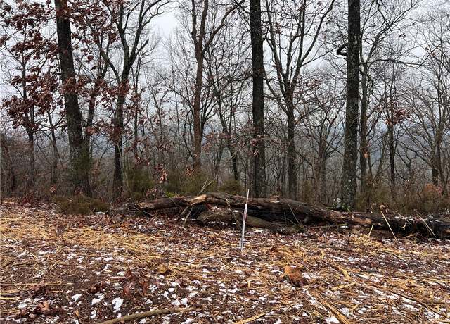 Property at 31 Skyview Ln, Holiday Island, AR 72631