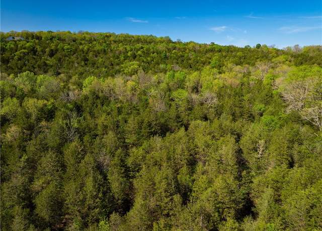 Property at 401 Cr 246 St, Berryville, AR 72632