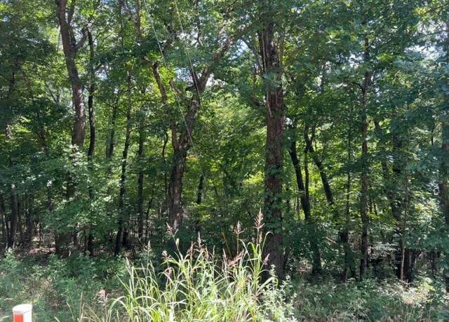 Property at 63 Stateline Dr, Holiday Island, AR 72631