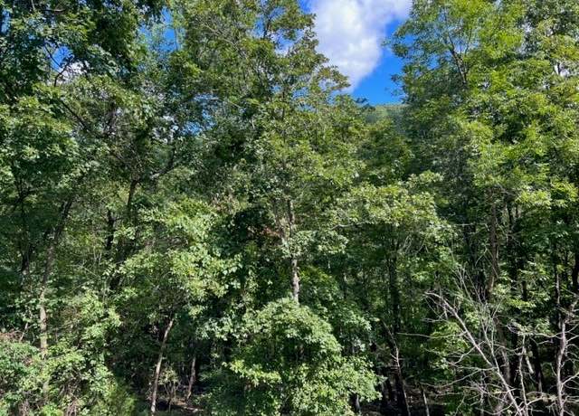 Property at 67 Stateline Dr, Holiday Island, AR 72631