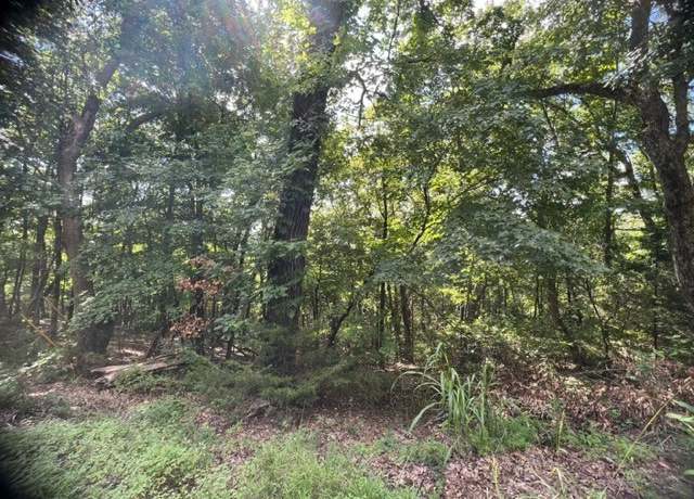 Property at 19 Sycamore Ln, Holiday Island, AR 72631