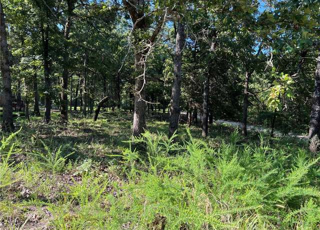 Property at W Pine St, Diamond City, AR 72644