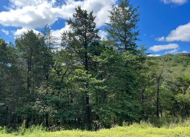 Property at 9 Cottonwood Ln, Holiday Island, AR 72631