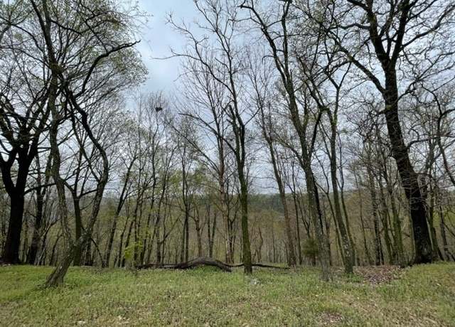Property at 56 Cypress Point Ln, Holiday Island, AR 72631