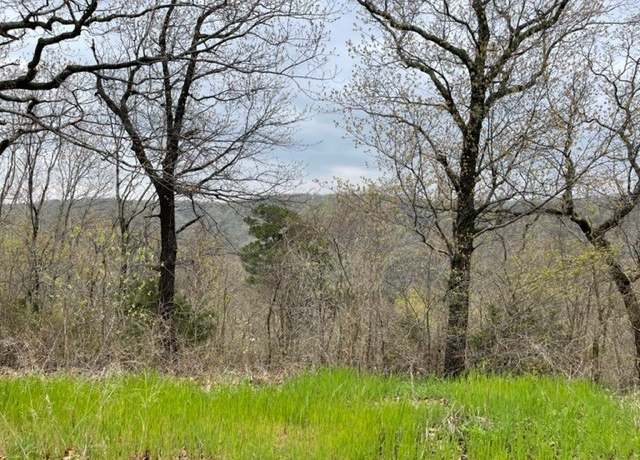Property at 25 Cypress Point Ln, Holiday Island, AR 72631