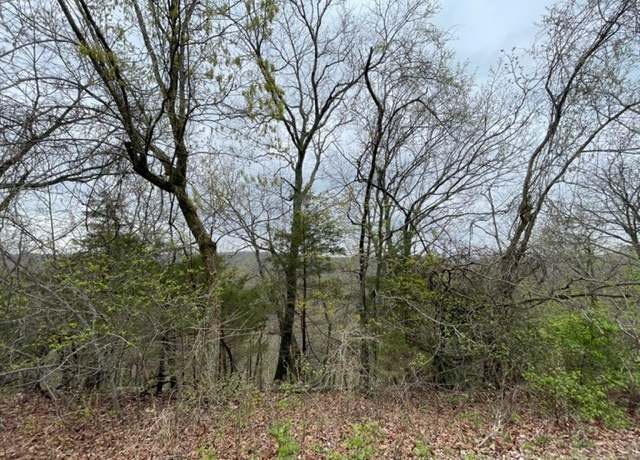 Property at 29 Cypress Point Ln, Holiday Island, AR 72631