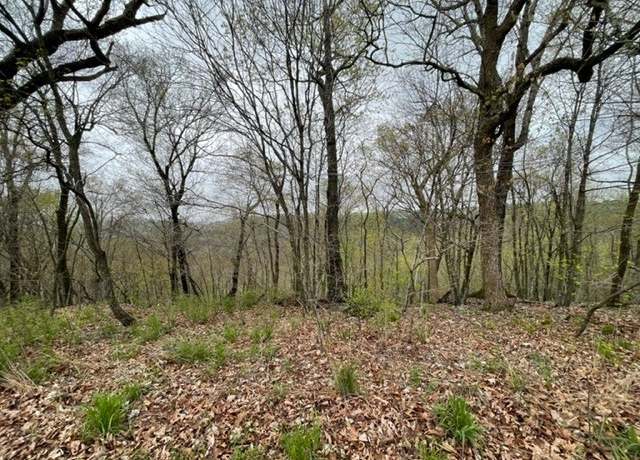 Property at 52 Cypress Point Ln, Holiday Island, AR 72631
