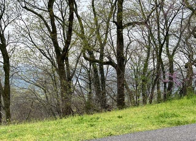 Property at 44 Cypress Point Ln, Holiday Island, AR 72631