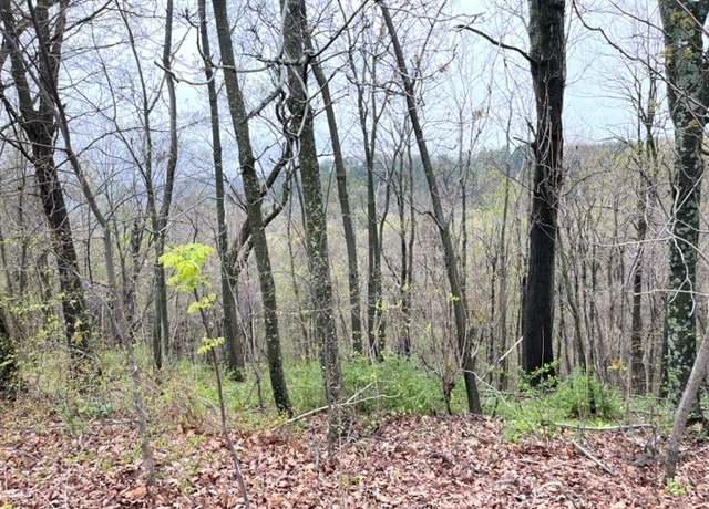 Property at 40 Cypress Point Ln, Holiday Island, AR 72631