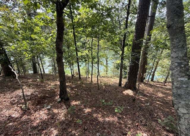 Property at Lot 8 Lakeside Dr, Rogers, AR 72756