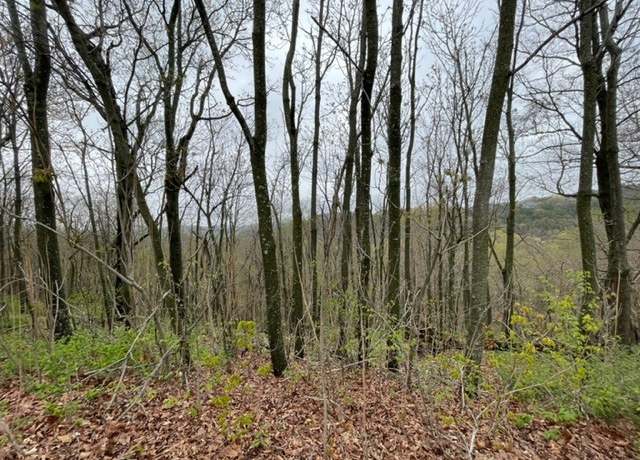Property at 38 Cypress Point Ln, Holiday Island, AR 72631