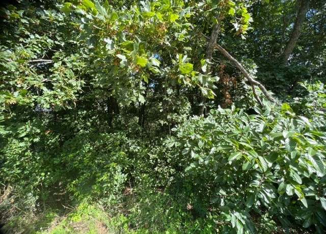 Property at 30 Cypress Point Ln, Holiday Island, AR 72631