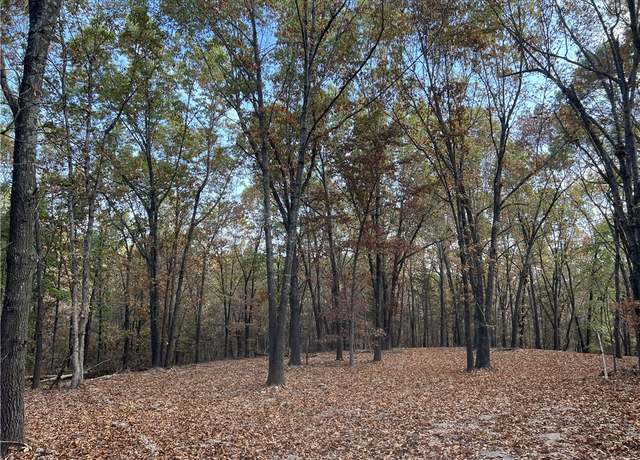 Property at 16.33 AC Jackson Rdg, Omaha, AR 72662