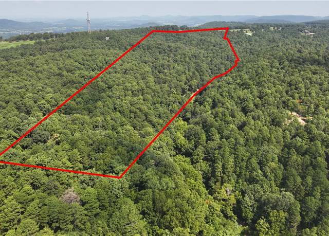 Property at 177-00015-001 TBD Cr 7151, Berryville, AR 72632