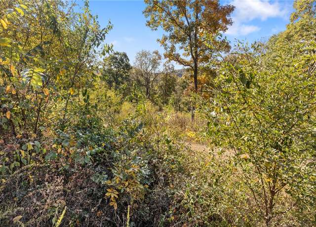 Property at Lot 31 Peaceful Pl, Harrison, AR 72601