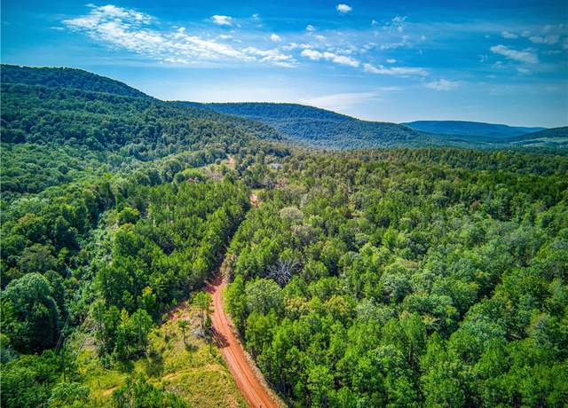 Property at Nc 4860, Bass, AR 72655