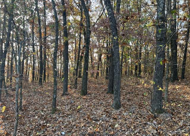 Property at 37.64 AC Dubuque Rd, Omaha, AR 72662