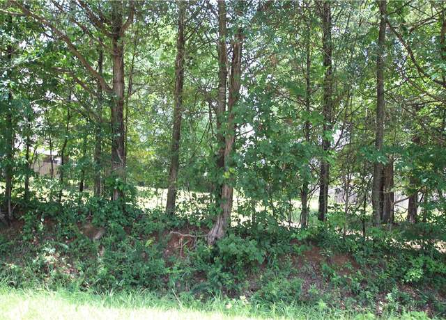 Property at Lot 19 Rachel Circle Rachel, Dover, AR 72837