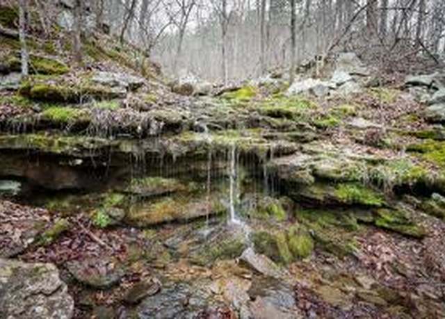 Property at TBD Angora Mountain Rd, Clinton, AR 72031
