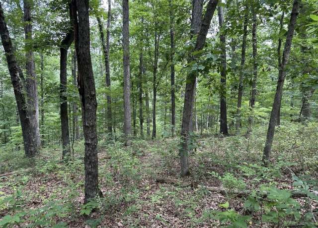 Property at Lot 7 Eccleston Ln, Bella Vista, AR 72714