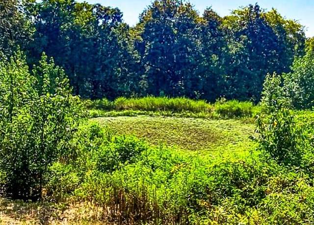 Property at 1295 Maple Springs Rd, Russellville, AR 72802