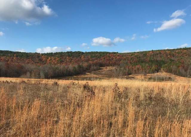 Property at 16810 Sr 7, Dover, AR 72837